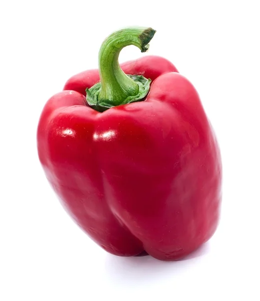 One red pepper — Stock Photo, Image