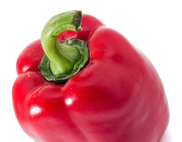 Jedna červená paprika — Stock fotografie