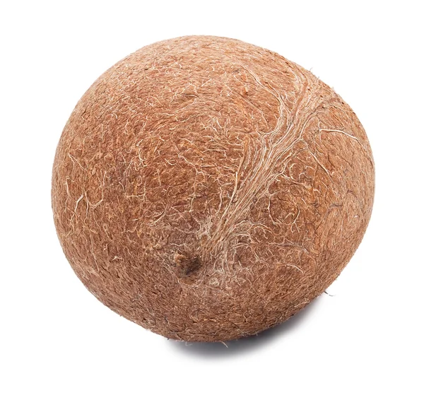 Whole coco without a shell — Stock Photo, Image