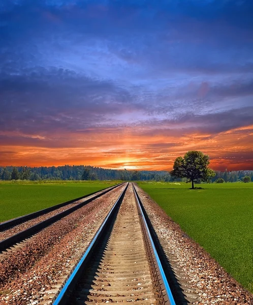 Ferrocarril en campo — Foto de Stock