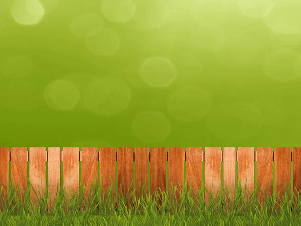 Grön grassin trädgård — Stockfoto