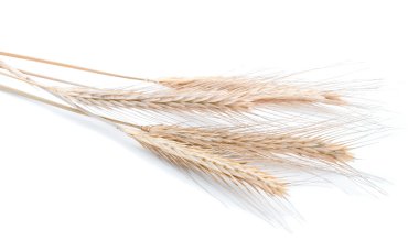 Four wheat ears clipart