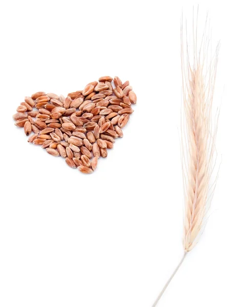 Wheat heart and wheat ear — Stock Photo, Image