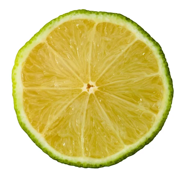Limoen schijfje — Stockfoto
