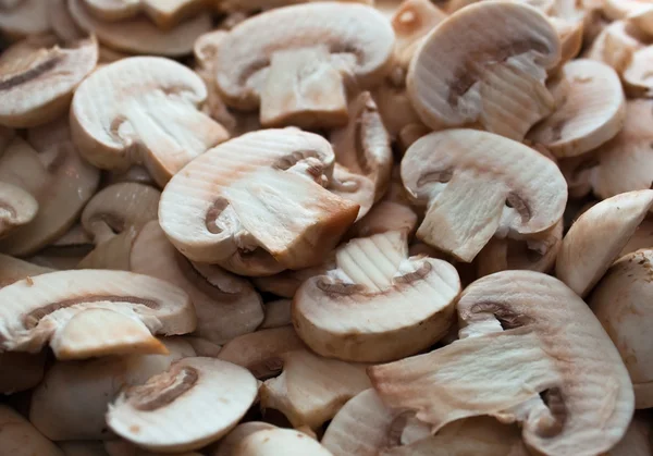 Mushroooms — Stock Photo, Image