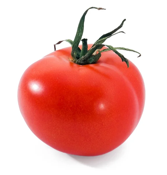 Jedno klasické červené rajče — Stock fotografie