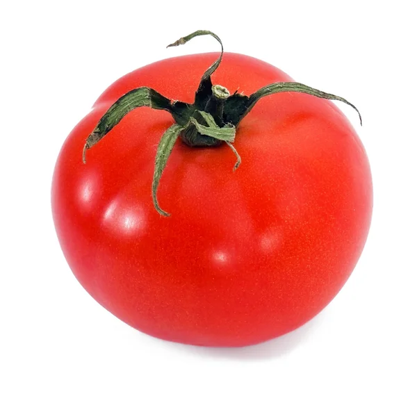 Один красный свежий помидор — стоковое фото