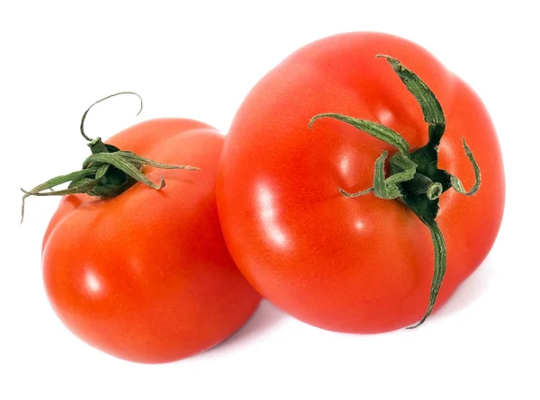 Dva vynikající rajčata — Stock fotografie