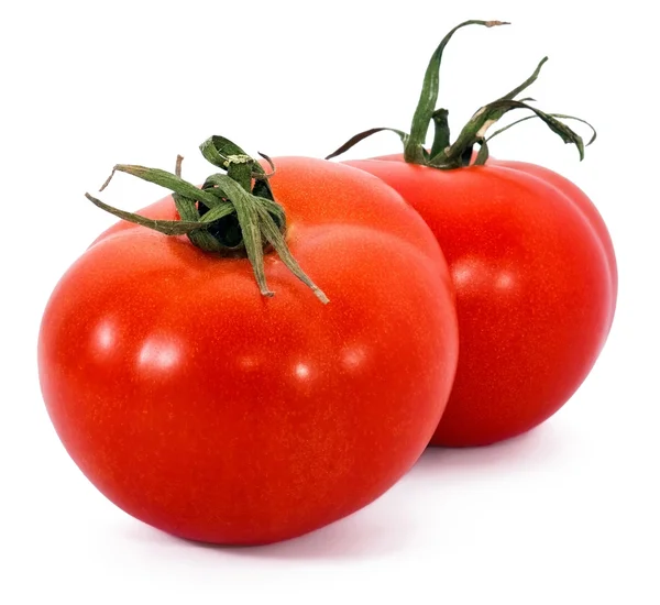 Dvě čerstvá rajčata — Stock fotografie
