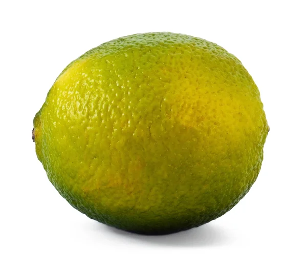 Hela mogen lime — Stockfoto