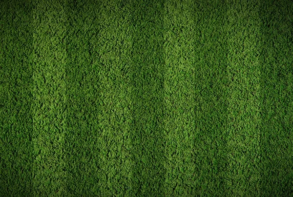 Fotbalové travnaté hřiště — Stock fotografie