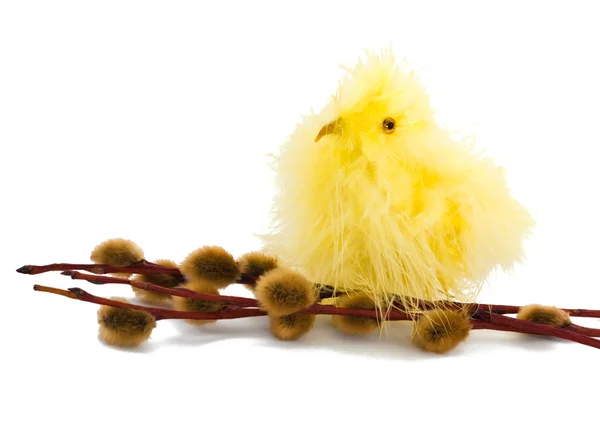 Húsvéti csirke — Stock Fotó