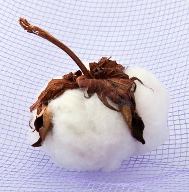 Cotton at textile clipart