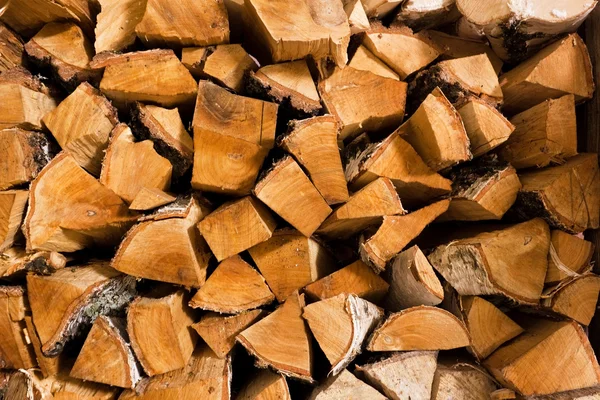 Huş ateşe odun — Stok fotoğraf