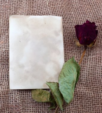 fotoğraf kartı seviyorum