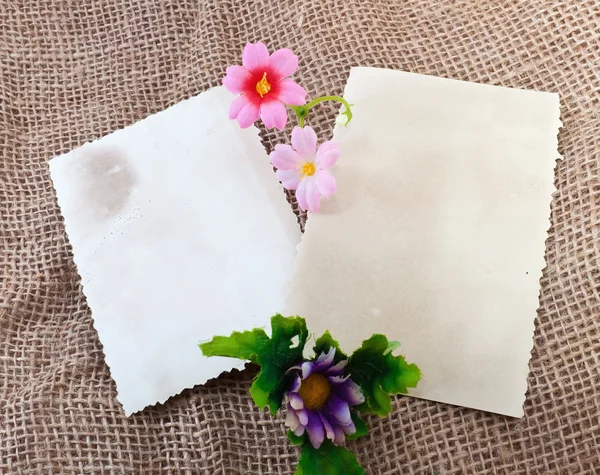 Dois cartões de fotos em branco com flor — Fotografia de Stock