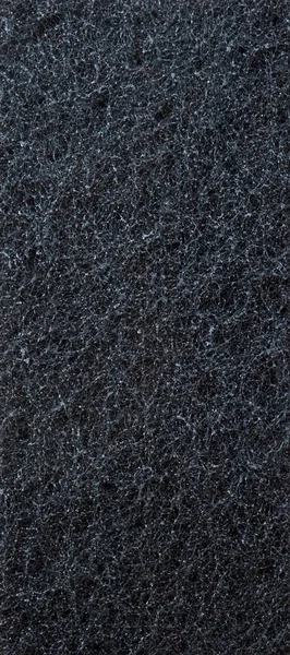 Чёрный баст — стоковое фото