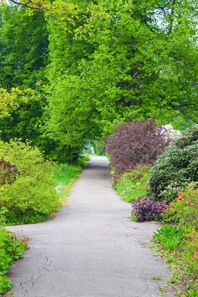 Alley in park — Stock Photo, Image