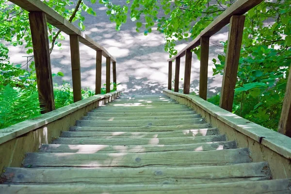 나무 계단 — 스톡 사진