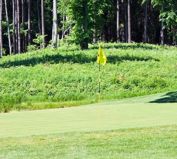 Флаг гольфа — стоковое фото
