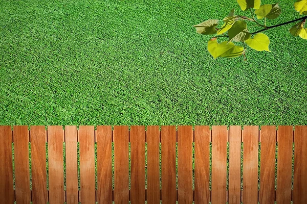 Hek in de buurt van het gras — Stockfoto