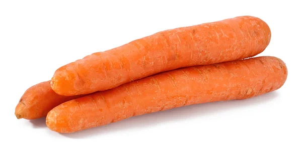 stock image Carrot