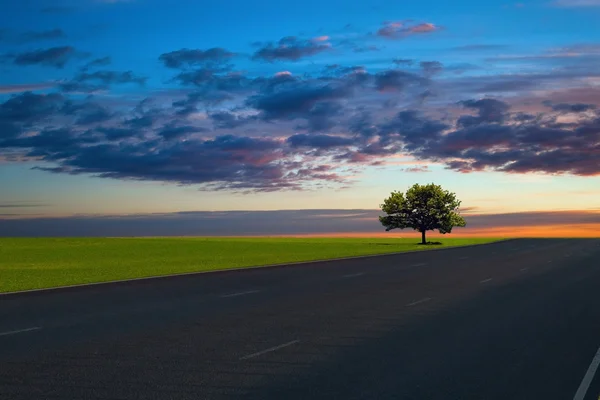 Carretera — Foto de Stock