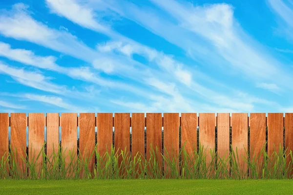 Green grass in garden with fence — Stock Photo, Image