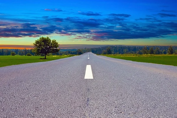 Road in sunset — Stock Photo, Image