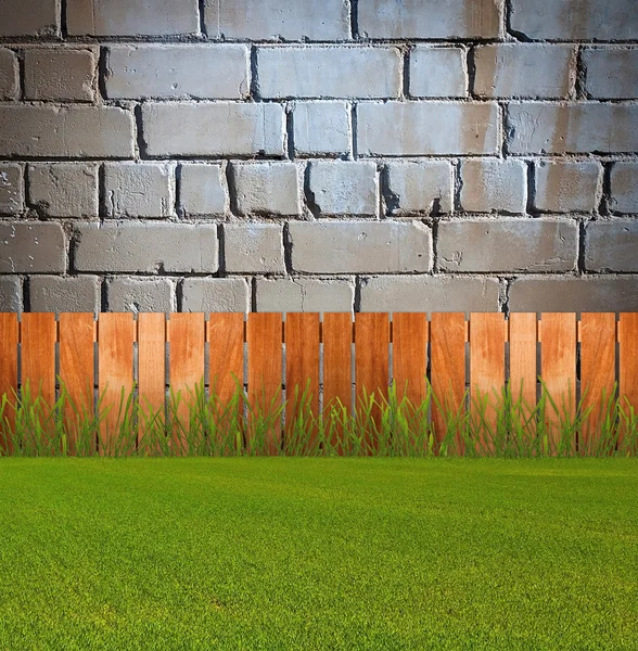 Grön grassin trädgård — Stockfoto