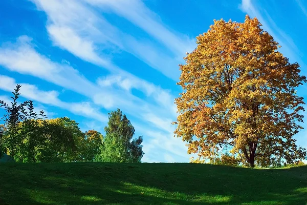 Hösten bakgrund — Stockfoto
