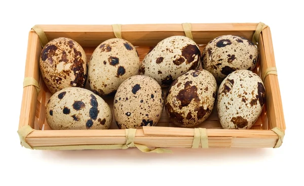 stock image Quail eggs