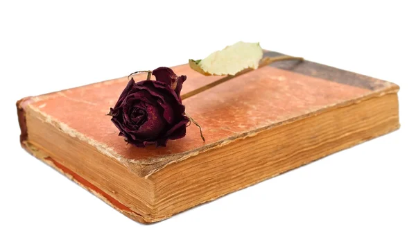 Rose op boek — Stockfoto