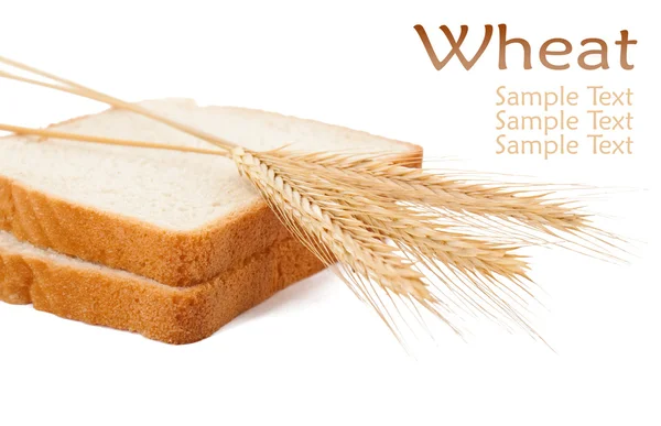 Wheat product — Stock Photo, Image