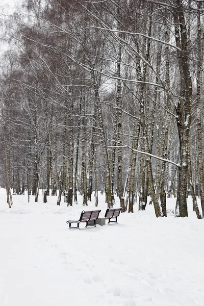Parque de Inverno — Fotografia de Stock