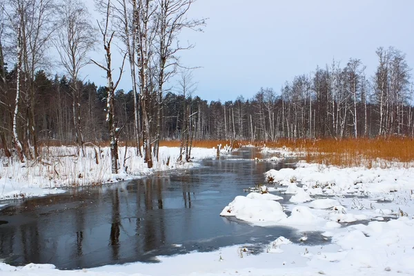 Řeka ve sněhu — Stock fotografie