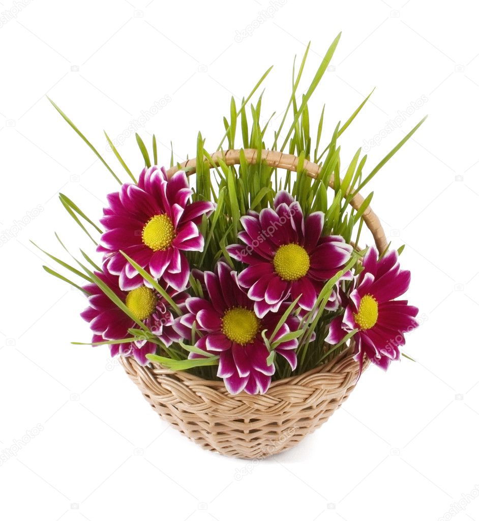 Flower and grass in basket