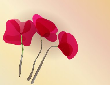 Poppy clipart