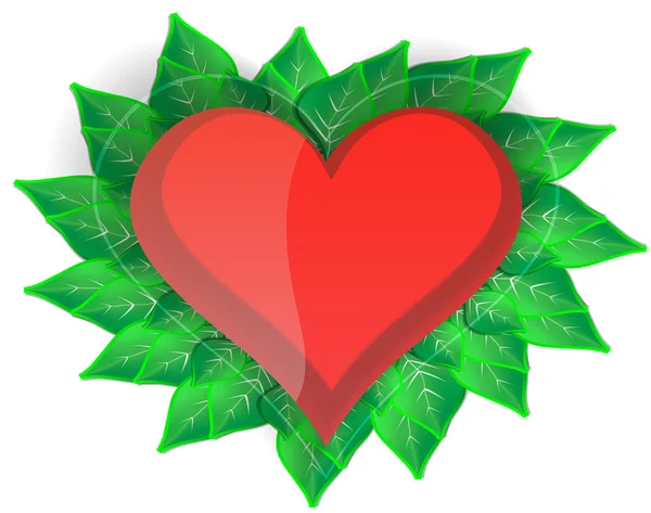 Serce z zielonych liści — Wektor stockowy