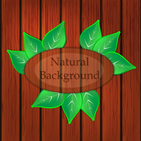Natural background concept with place for text — Stock Vector