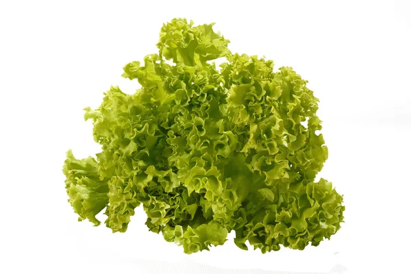 Bunch of lettuce on a white background — Stock Photo, Image
