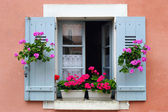 Fensterkasten Blumenschmuck, Burgund, Frankreich