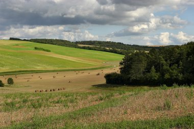 Yaz aylarında bourgogne, Fransa.