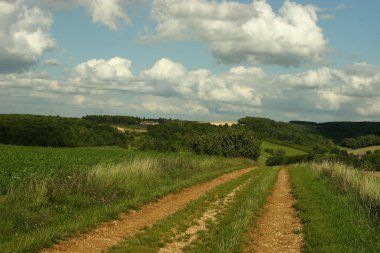 Yaz aylarında bourgogne, Fransa.