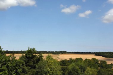 Yaz aylarında bourgogne, Fransa.