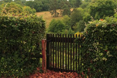 The gate in the hedge, Burgundy, France. clipart