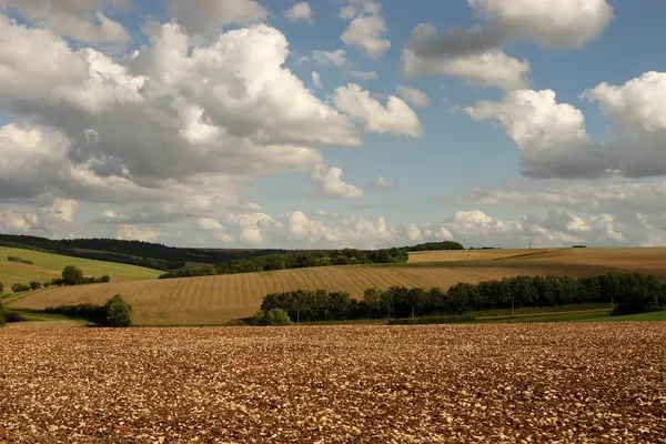 stock image Summer in the Bourgogne, France.