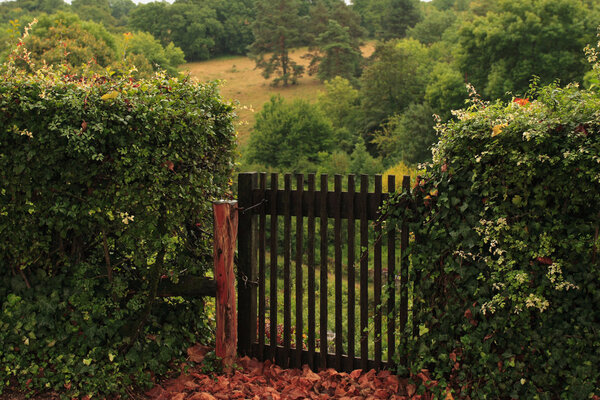 The gate in the hedge, Burgundy, France.