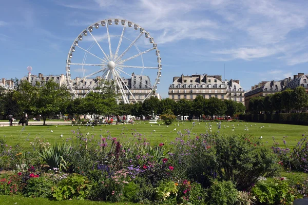 Reuzenrad op jardin de tuileries in Parijs, Frankrijk — Stockfoto