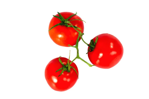 Trzy świeżych pomidorów czerwony na białym tle — Zdjęcie stockowe